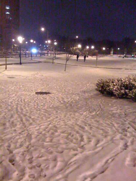 arlington snow jan 09 Things you dont learn when you grow up in the desert