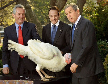 bush_thanksgiving_pardon_turkey.jpg