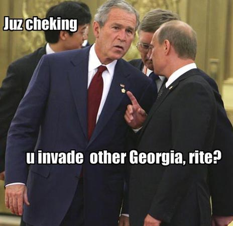 lolbush_georgia.jpg