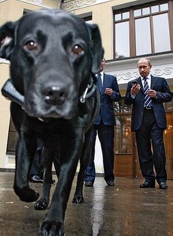 putin_koni_glonass_gps_2.jpg