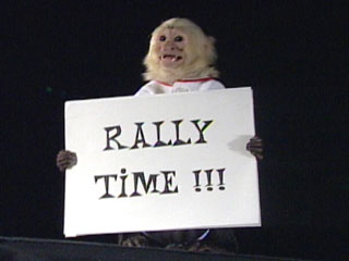 rally_monkey_1.jpg