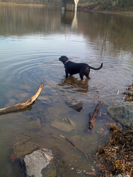 tucker lake 11 sm Tuckers Big Day Out