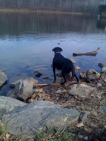 tucker lake 13 sm Tuckers Big Day Out