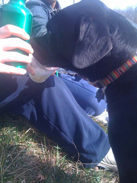 tucker lake 1 sm Tuckers Big Day Out