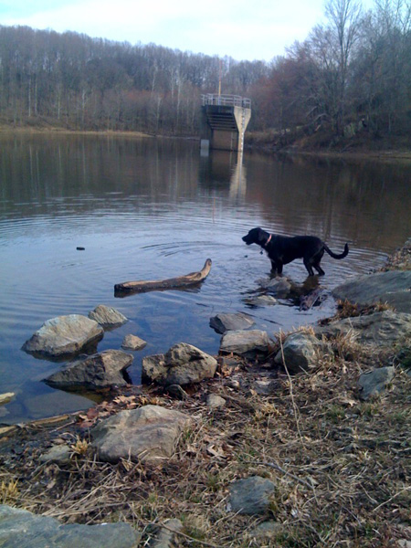 tucker lake 20 sm Tuckers Big Day Out