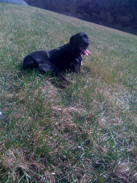 tucker_lake_2_sm.jpg