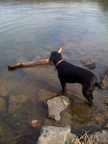 tucker lake 8 sm Tuckers Big Day Out