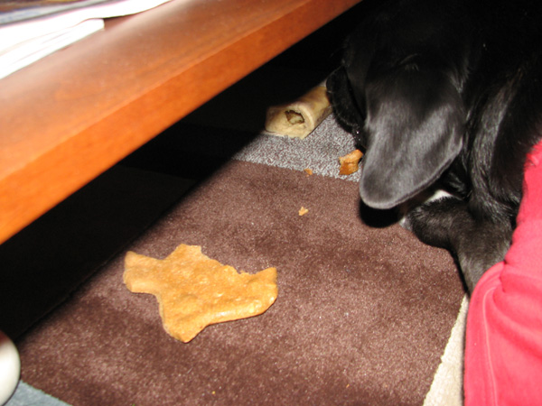 tucker texas cookie 2 Monster dog devours Texas